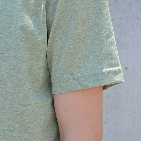 SALE 20%OFF Carhartt(カーハート) S/S Flag WIP T-Shirt -Pale Olive/Black-(10)