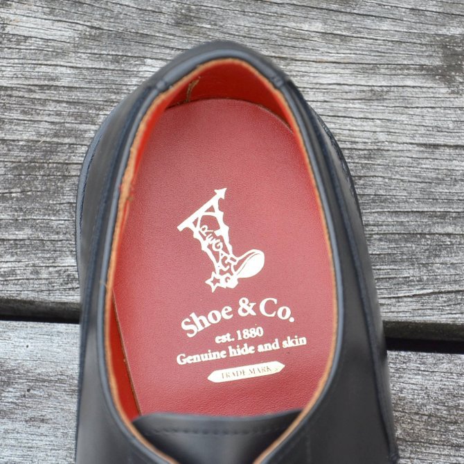 REGAL Shoe&Co.([K V[AhJpj[) U TIP SHOES -BLACK- #803S(10)