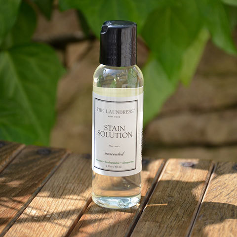 THE LAUNDRESS(ザ・ランドレス) STAIN SOLUTION(ステインソリューション) Unscented 60ml (1)