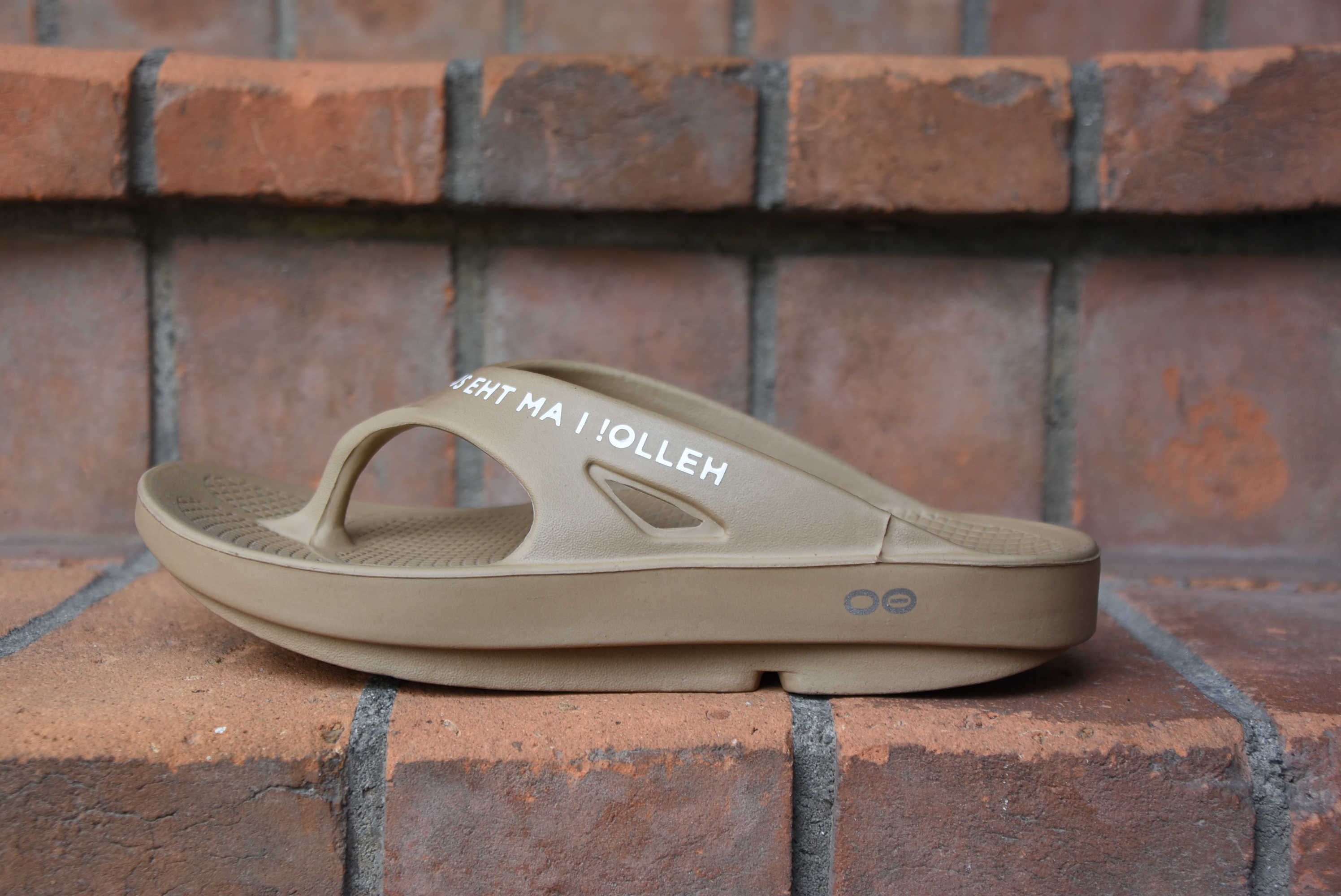 【2020】TAKAHIRO MIYASHITA The SoloIst.(タカヒロミヤシタ ザ ソロイスト)signature flip-flop #sof.0007(6)