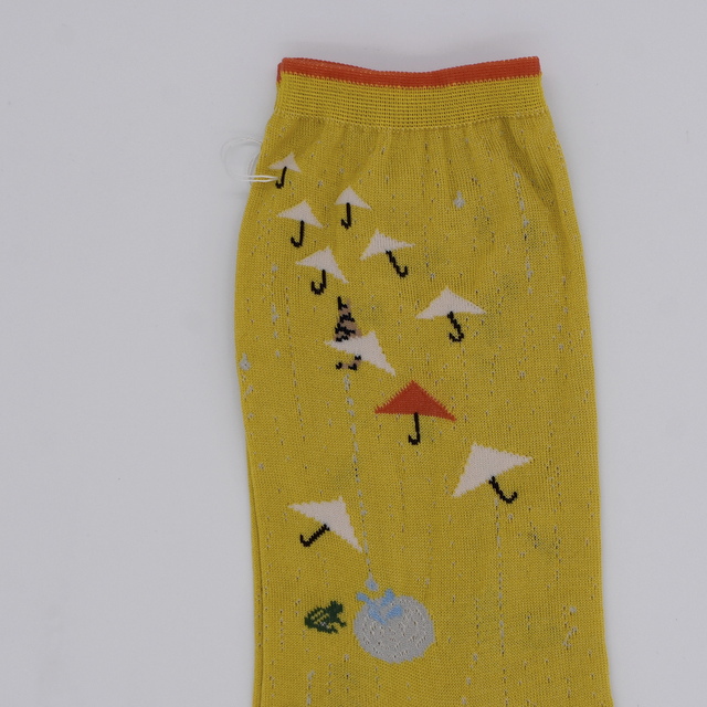 ANTIPAST (アンティパスト)/ A RAINY DAY SOCKS(4色展開) (6)