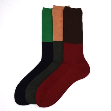 ANTIPAST (AeBpXg) / TWO TONE RIB SOCKSy2FWJz#ANP-920-AA