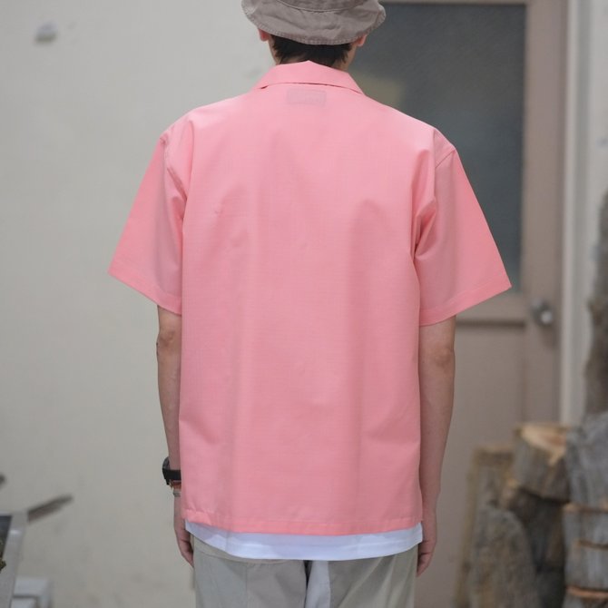 BROWN by 2-tacs (uEoCc[^bNX) OPEN COLLAR -PINK- #B19-S002(10)