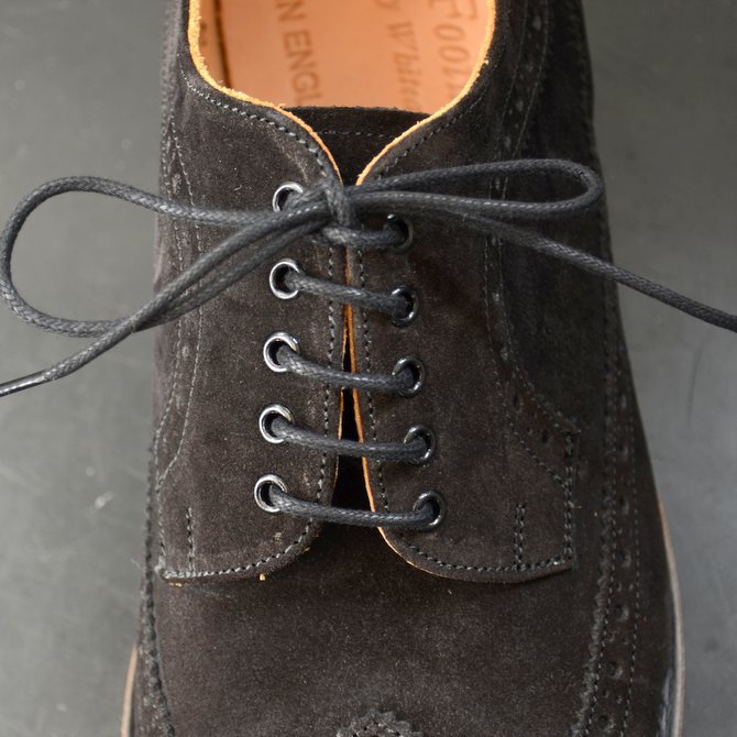 Arrow Footwear(A[tbgEFA)/ BLACK SUEDE 5 EYE BROGUE SHOE -BLACK SUEDE-(7)