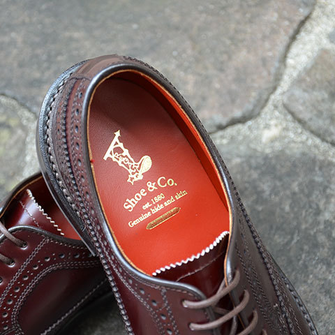 REGAL Shoe&Co.([K V[AhJpj[)  Wing Tip -BURGANDY-yZz(8)