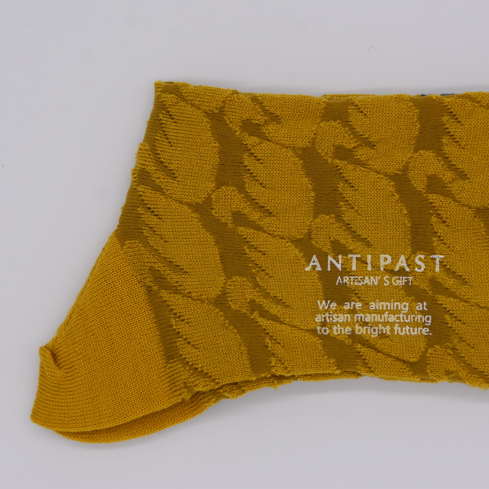 ANTIPAST (アンティパスト)/ SWAN (4色展開) (10)