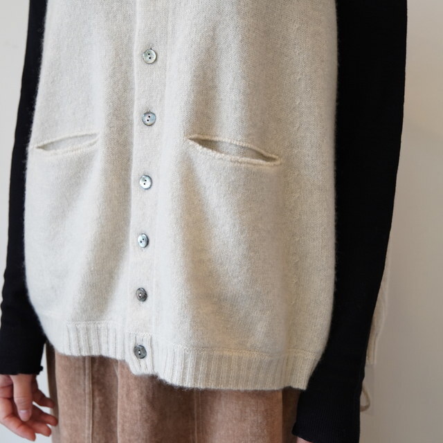 GASA*(KT) jbgP[vxXg #13253-14106(10)