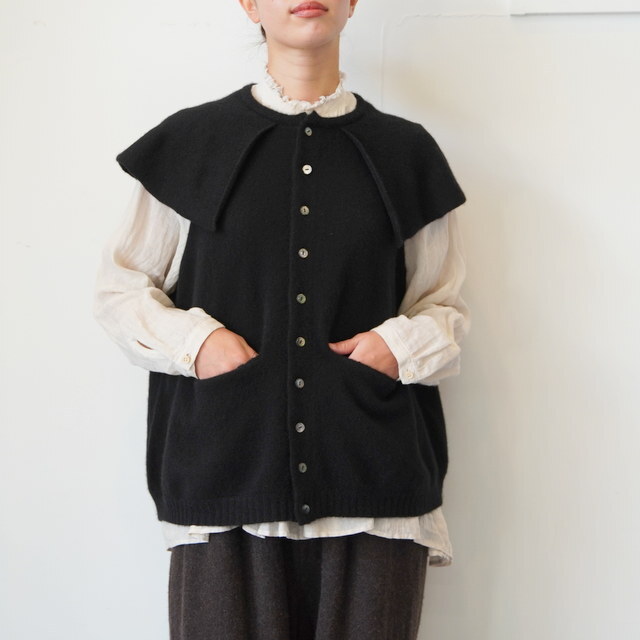 GASA*(KT) jbgP[vxXg #13253-14106(1)