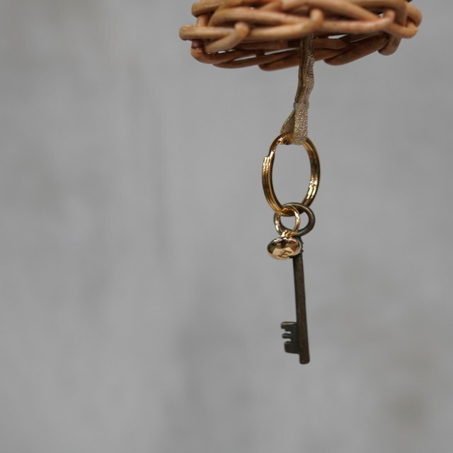 ebagos(GoSX) / oXPbgL[z_[ \tg^bN #45607SL(3)