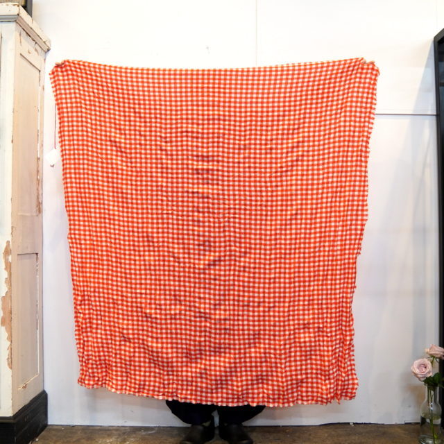 DANIELA GREGIS(_jG OWX) scialle shawl lavato(RED CHECK)#SCI1WK42(4)