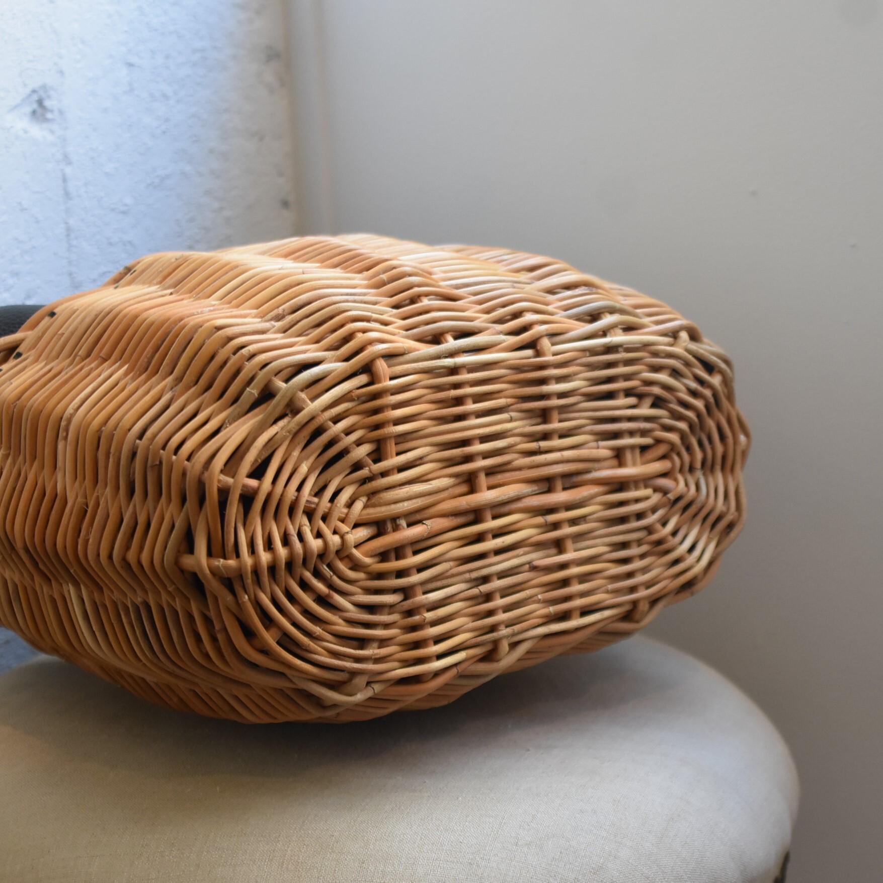 ebagos(GoSX) / Ehz[ oXPbg #15619-AA(5)