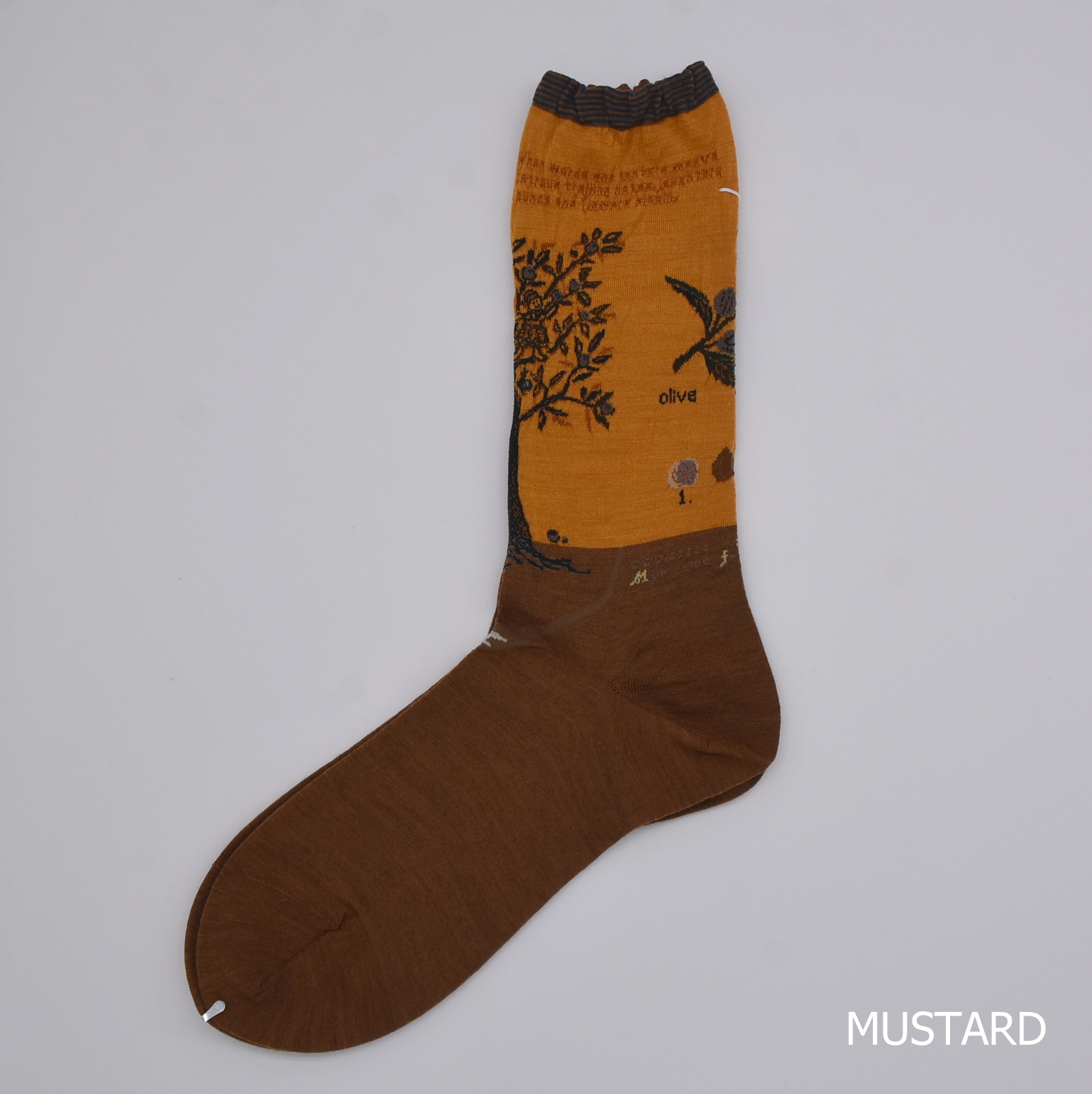 ANTIPAST (AeBpXg) / OLIVE HARVEST SOCKSy2FWJz #AM-790-AA(7)