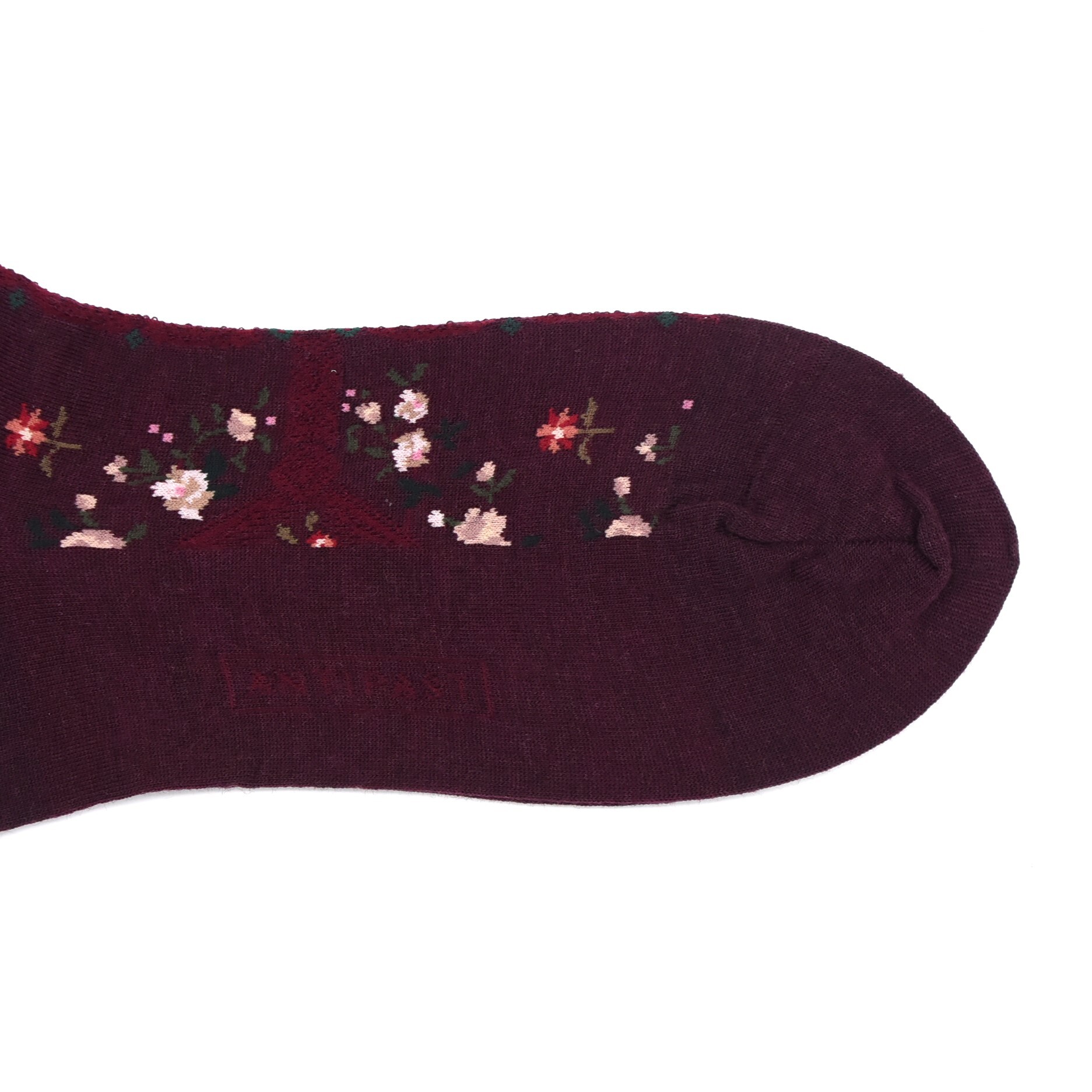 ANTIPAST (AeBpXg) / ROSE WALL SOCKSy2FWJz#AM-809-AA(9)